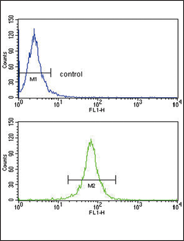 DCN Antibody (Center)