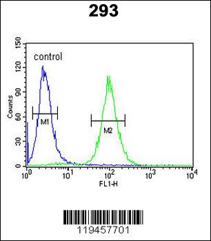SPB3 Antibody (N-term)