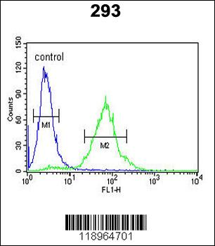 SETD8 Antibody (Center)