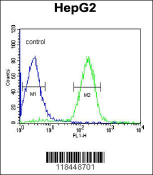 ORM1 Antibody (C-term)
