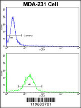 FABP3 Antibody (N-term)