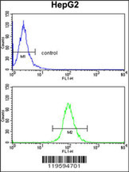 DCL-1 Antibody (Center)