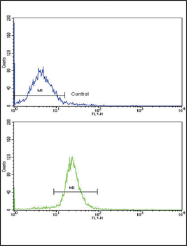 ARPC1A Antibody (C-term)