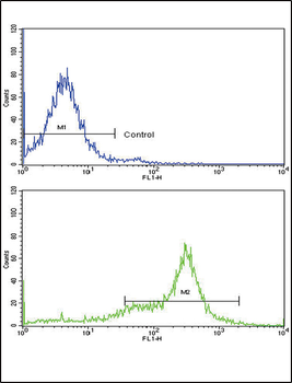CAV3 Antibody (N-term)