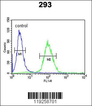 DPP8 Antibody (C-term)