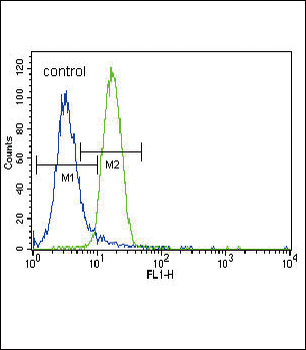 Parkin Antibody (C-term)