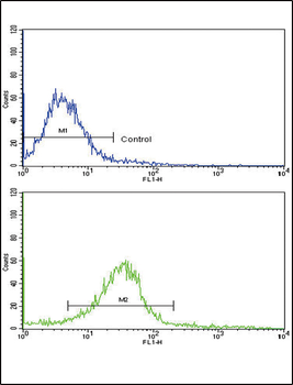 EDA Antibody (N-term)