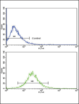 MMP3 Antibody (Center)