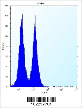 ICOS Antibody (C-term)
