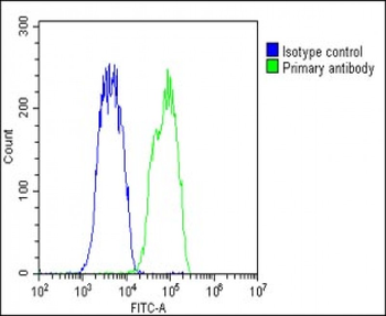 KIAA1688 Antibody (C-term)