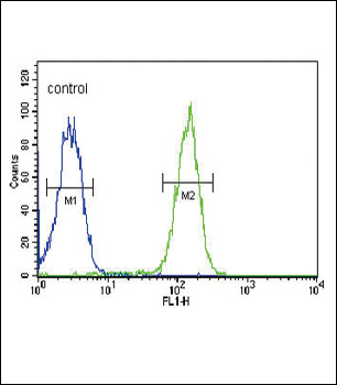 SLC9A3R1 Antibody (Center)