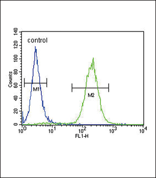 ATP1A2 Antibody (Center)