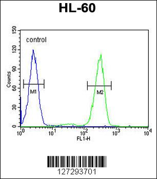 AFTPH Antibody (C-term)