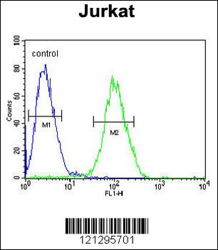 RPS3A Antibody (C-term)