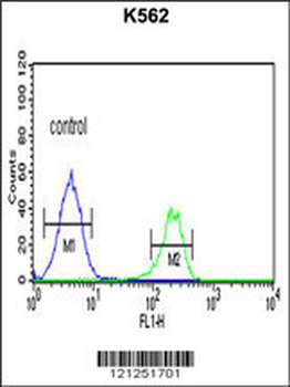 PMCH Antibody (Center)