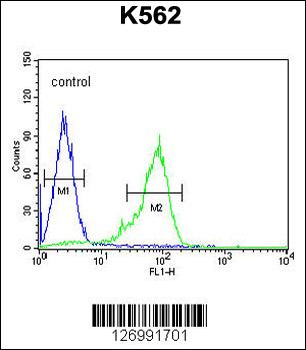 GLP1 Antibody (Center)