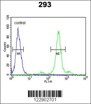 PGD Antibody (Center)