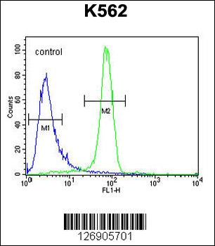 EGFR-S1026 Antibody (C-term)