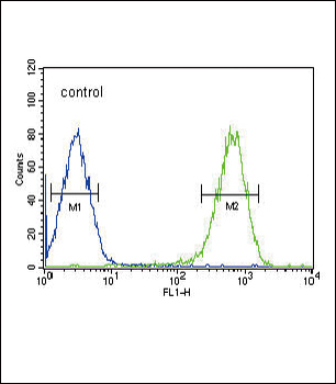 DLAT Antibody (C-term)