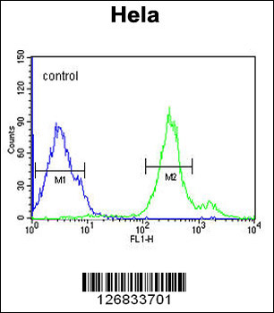 CYC1 Antibody (C-term)