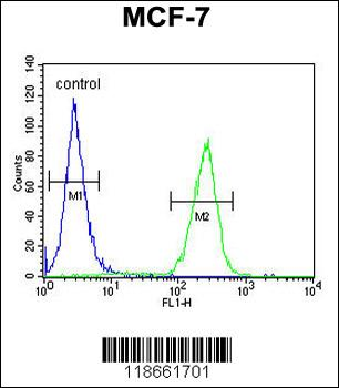 MYLIP Antibody (Center)