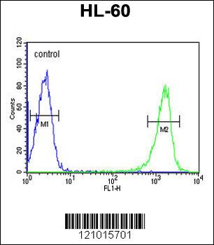 PSME1 Antibody (C-term)