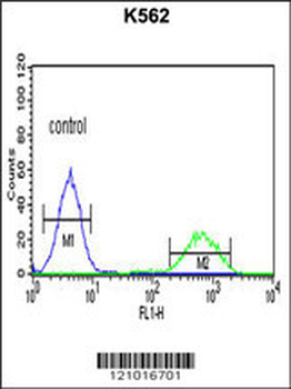 SMARCC1 Antibody (N-term)