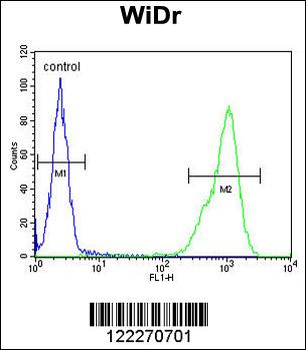TPPP3 Antibody (C-term)