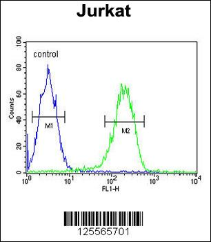 PAN3 Antibody (C-term)