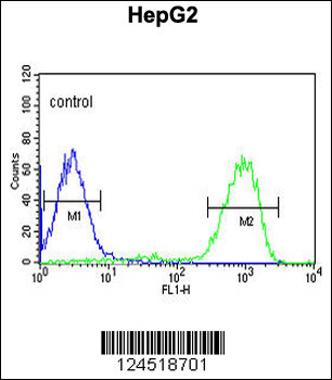 OPN1MW Antibody (N-term)