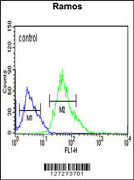 CORO6 Antibody (Center)