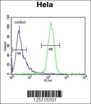 CLEC2B Antibody (Center)
