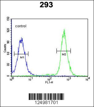 A2ML1 Antibody (N-term)