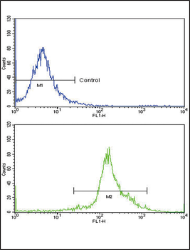 PPIA Antibody (N-term)