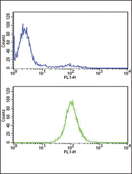 TPI1 Antibody (N-term)