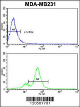 AHSA1 Antibody (N-term)