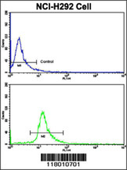 ELP2 Antibody (C-term)