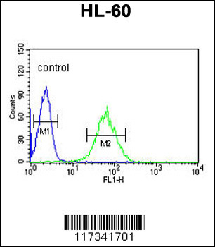 SNRPD1 Antibody (Center)