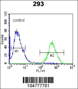 RCE1 Antibody (N-term W57)