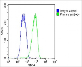 BAP1 Antibody (N-term)