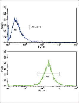 BMPR1A Antibody (N-term)