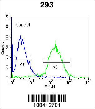 NAP1L1 Antibody (C-term)