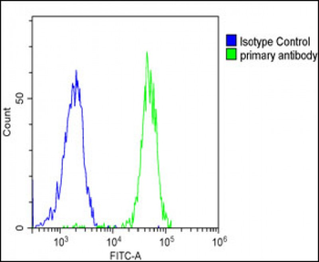 SPNS2 Antibody (N-term)