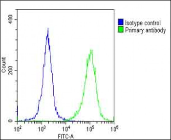 HNRNPR Antibody (N-term)