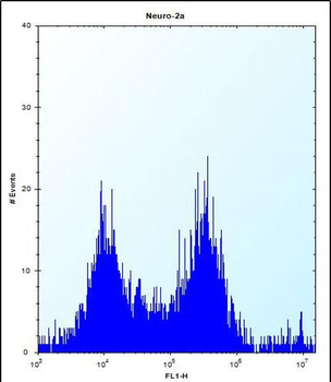 Mouse Map4k3 Antibody (Center)