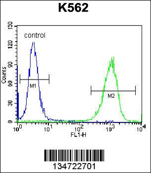 GOLGA5 Antibody (Center)