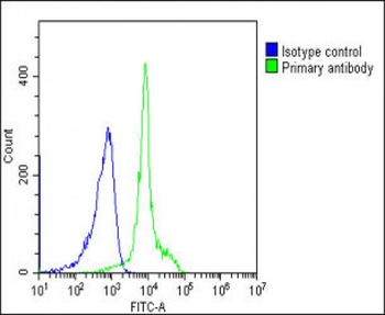 TERT Antibody (S1125)