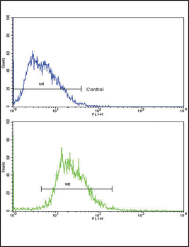 SOX9 Antibody (Center)