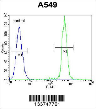 TCF3 Antibody (C-term)