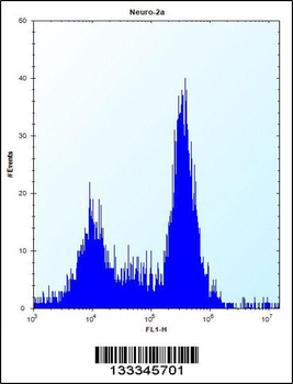 SDF2L1 Antibody (C-term)